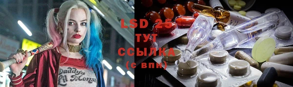 PSILOCYBIN Баксан