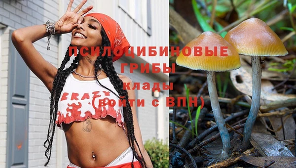 соль ск Грязи