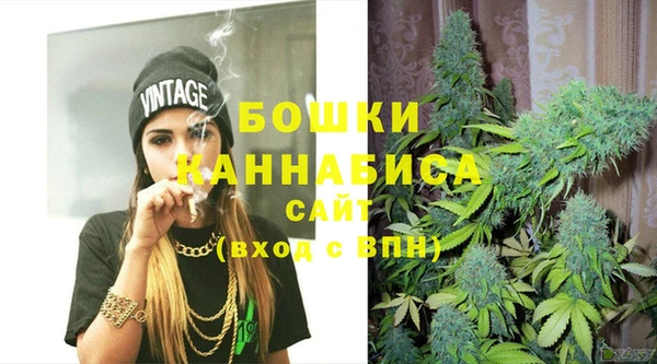 PSILOCYBIN Баксан