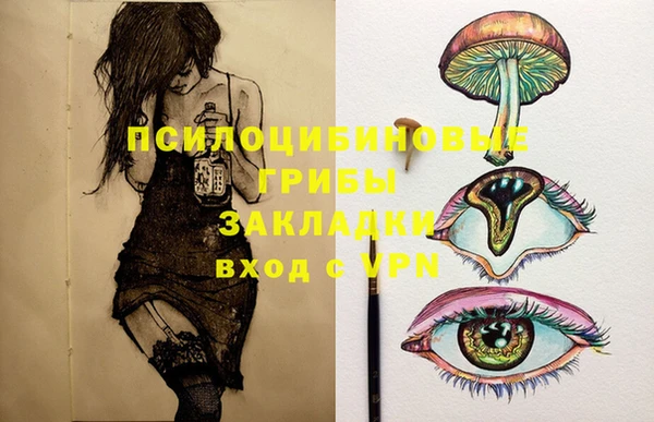 соль ск Грязи