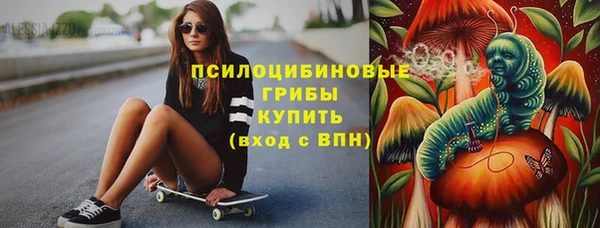 PSILOCYBIN Баксан