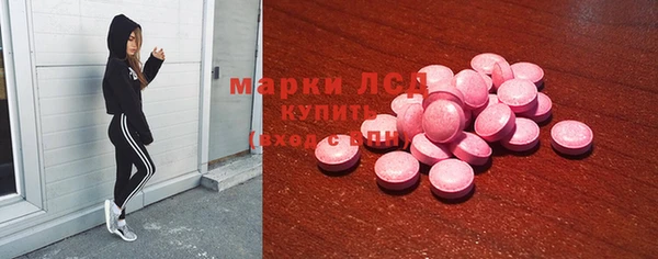 PSILOCYBIN Баксан