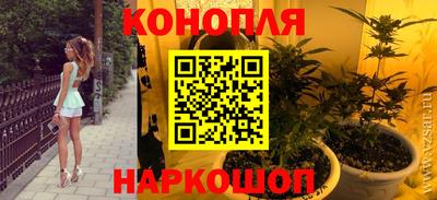 шишки Конаково