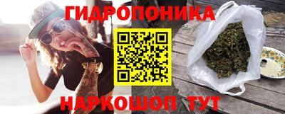 шишки Конаково