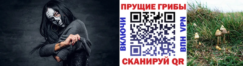 закладка  Кувандык  Галлюциногенные грибы ЛСД 