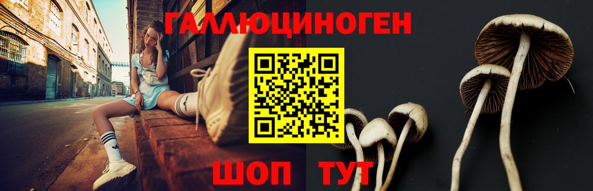 Кувандык  Псилоцибиновые грибы MAGIC MUSHROOMS  Вход с VPN 