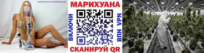 Шишки марихуана THC 21%  наркотики  Кувандык 